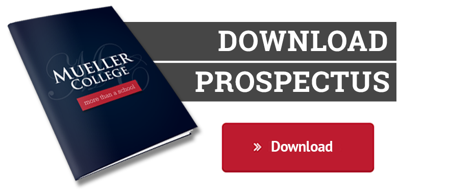 homepage-download-prospectus3